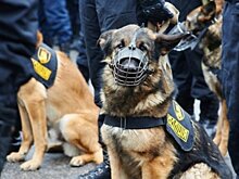 Киевская полиция объявила план "Перехват" из-за покушения на жизнь предпринимателя