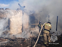 На улице Фабричной в Кузнецке сгорел расселенный дом