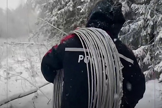 В Новгородской области снегопады оставили без света 195 населенных пунктов