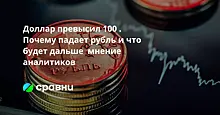 Доллар превысил 100 . Почему падает рубль и что будет дальше  мнение аналитиков