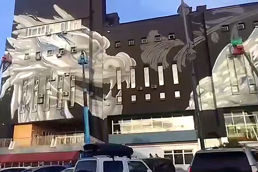 Дракон на фасаде спорткомплекса во Владивостоке вызвал вопросы у жителей