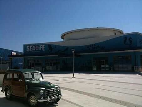 Заглавное изображение Аквариум Sea Life
