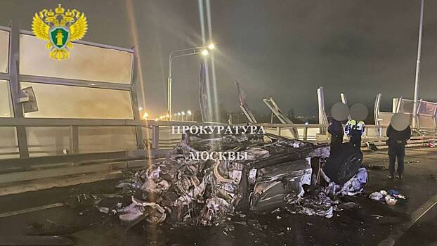 В аварии с Lamborghini пропал принадлежавший погибшему криптобизнесмену чихуахуа