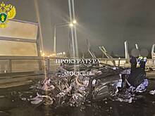 В аварии с Lamborghini пропал принадлежавший погибшему криптобизнесмену чихуахуа