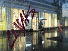 ИИ-синоптик: в Ростове дождь задержится на полдня