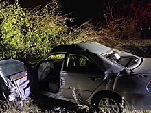 В Ростовской области автомобиль врезался в дерево