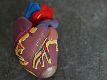 Кардиолог Минздрава рассказал, что более 40 млн взрослых в РФ имеют болезни кровообращения