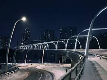 Ночь 17 февраля стала одной из самых холодных с начала года в Московском регионе