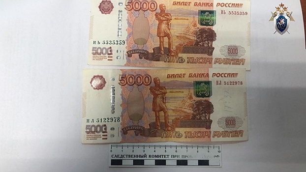 Пьяный борский водитель попытался подкупить полицейского мелкой взяткой