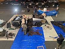 В США заявили, что столкнулись с ростом "доморощенного экстремизма"