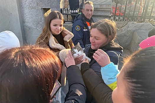 Кошку из "Ласточкиного гнезда", которую чуть не убил живодер, приютила волонтер