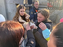 Кошку из "Ласточкиного гнезда", которую чуть не убил живодер, приютила волонтер