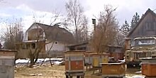 Драма в Аксенове: отстоят ли жители деревни свои дома у газового гиганта