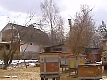 Драма в Аксенове: отстоят ли жители деревни свои дома у газового гиганта