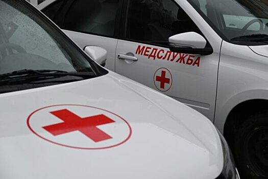 Замглавы администрации района Белгородской области погиб при детонации снаряда