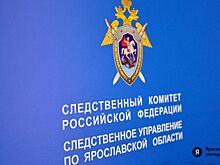 Ярославское «Спецавтохозяйство» заподозрили в уходе от налогов