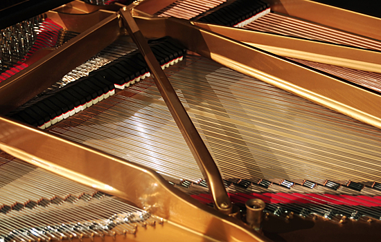 Марка Steinway & Sons выпустила рояли в цветочек