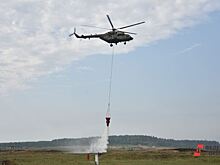 В Свердловской области выделили более миллиарда рублей на охрану лесов от пожаров