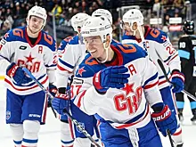 СКА разделался с "Витязем"