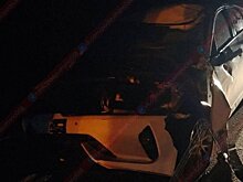 В ДТП на трассе в Городищенском районе погибла корова