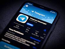 В Госдуме призвали не пугать россиян блокировкой Telegram