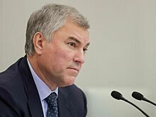 Володин сообщил, что среди депутатов вновь выявили случай заражения коронавирусом