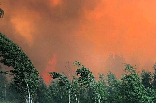 "Дома и леса сгорели": эвакуация под Челябинском