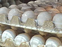 Яйца в Кузбассе стали дешевле в 2024 году