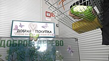 В магазинах Ноябрьска установили боксы для «Доброй покупки»