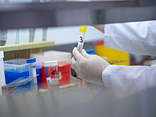 Японский учёный опроверг приписываемые ему слова о создании COVID-19 в КНР