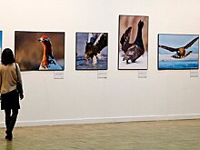 Фестиваль "Первозданная Россия" открылся в Москве