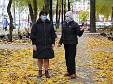 В Воронеже заканчивают озеленение Литературного бульвара