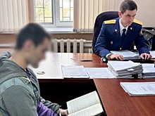 Фиктивные прописки за 1000 рублей: во Владимире раскрыта схема массовой легализации мигрантов
