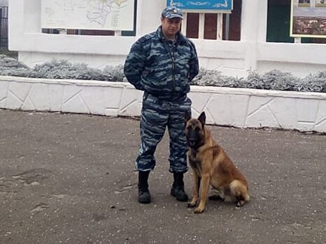 Овчарка Нэсс помогла полицейским выйти на след домушника