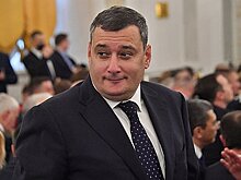Депутат возмутился постом ВЦИОМ о запрете ЛГБТ-пропаганды