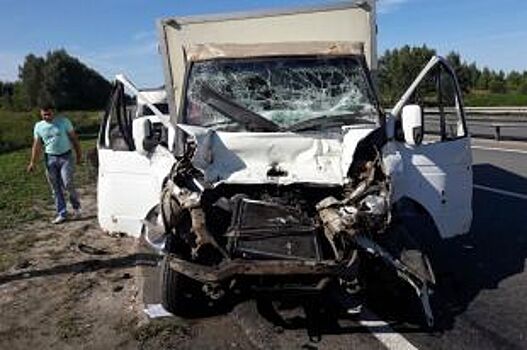 На рязанской трассе ГАЗ влетел в автогрейдер