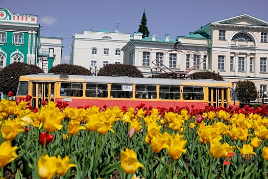 В Кузбассе не хватает перевозчиков: дефицит достиг 24 %