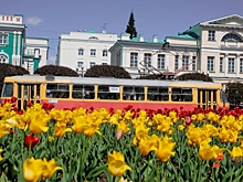 В Кузбассе не хватает перевозчиков: дефицит достиг 24 %