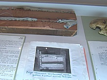 Череп Гитлера и погоны Брусилова: в Москве открылась выставка к столетию Госархива