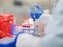 Бизнес против пандемии - Российские миллиардеры жертвуют средства на борьбу с распространением коронавируса