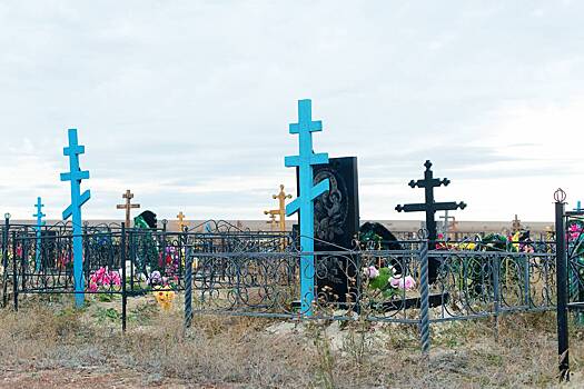 В России мать растерзанного собаками мальчика пригласила зоозащитников на его похороны