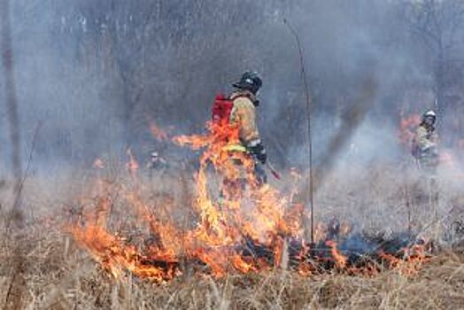 В Татарстане продлили штормовое предупреждение о пожарной опасности лесов