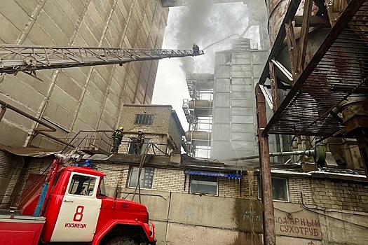 В Пензенской области при пожаре в зерносушилке сгорели две тонны семечек