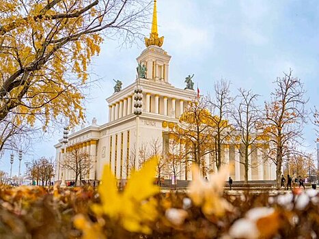 Собянин: Третьяковская галерея представит новую выставку на ВДНХ с 21 ноября