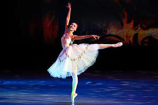 Гендиректор "Ледовых сезонов" Зылев признал проблему с выплатами за участие в своих шоу