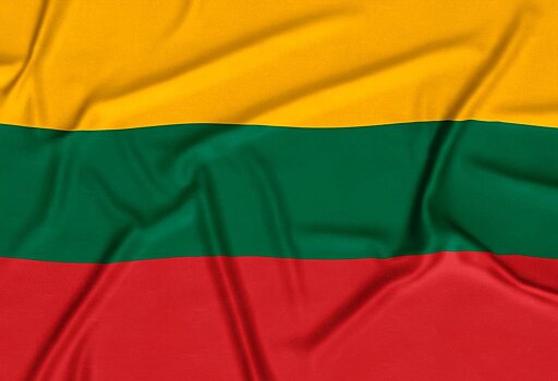Литва готова отправить войска на Украину