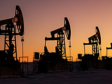 Венгрия нашла замену российской нефти