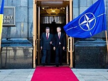 НАТО не удовлетворена темпами адаптации стандартов альянса на Украине