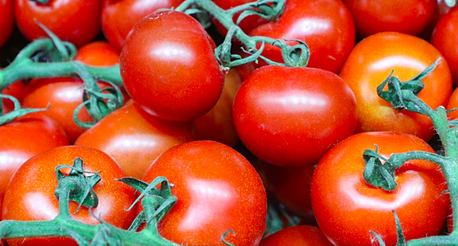 томаты витамины и микроэлементы. способы уменьшения нитратов в овощах и фруктах. можно ли отравиться помидорами. польза томатов. помидоры магазинные.