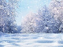 Кировскую область накроет снегопад